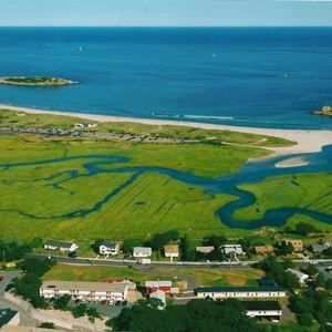 Meet your Posher, Veronica